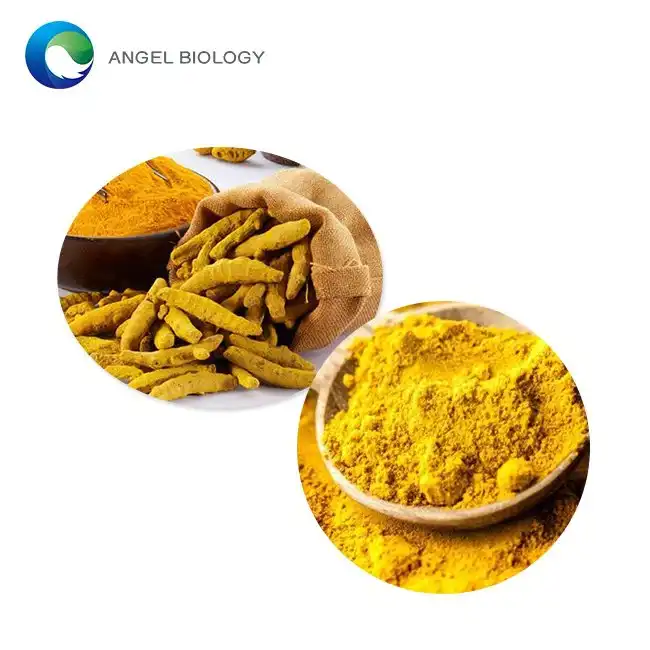 How Is Curcumin 95% Powder Used in Anti-Inflammatory Formulations?